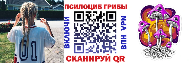 наркотики  Солнечногорск  ссылка на мегу tor  Псилоцибиновые грибы мухоморы 